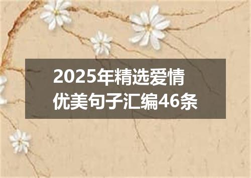 2025年精选爱情优美句子汇编46条