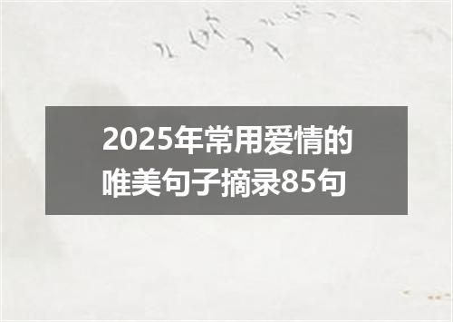 2025年常用爱情的唯美句子摘录85句