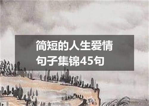简短的人生爱情句子集锦45句