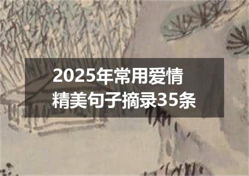 2025年常用爱情精美句子摘录35条