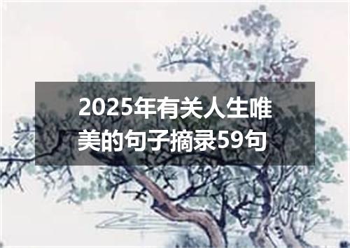 2025年有关人生唯美的句子摘录59句