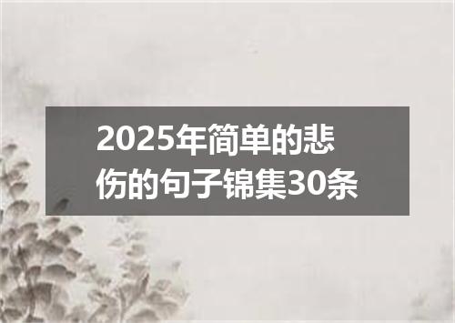 2025年简单的悲伤的句子锦集30条