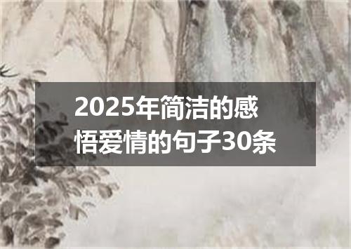 2025年简洁的感悟爱情的句子30条