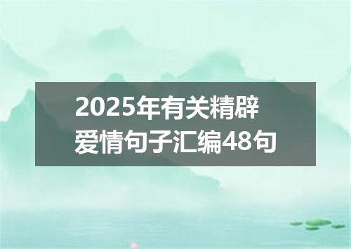 2025年有关精辟爱情句子汇编48句