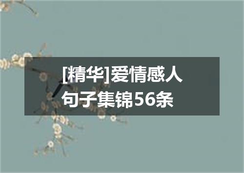 [精华]爱情感人句子集锦56条