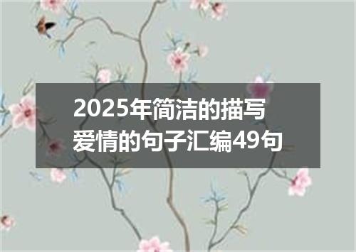 2025年简洁的描写爱情的句子汇编49句