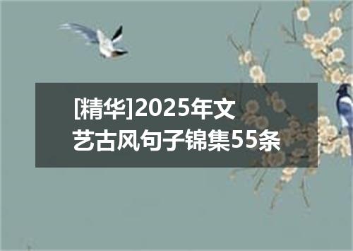 [精华]2025年文艺古风句子锦集55条