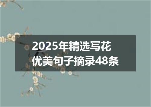 2025年精选写花优美句子摘录48条