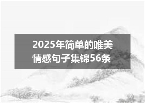 2025年简单的唯美情感句子集锦56条