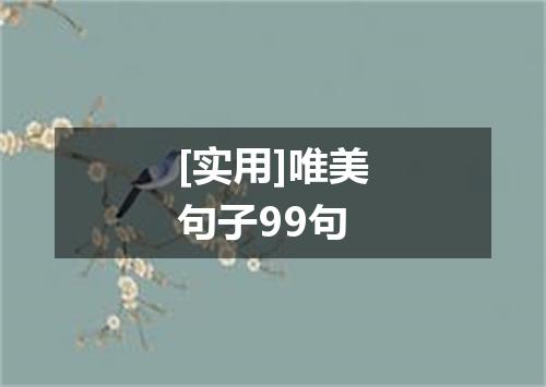 [实用]唯美句子99句