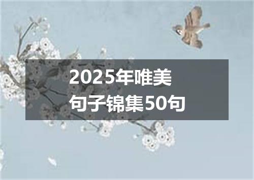 2025年唯美句子锦集50句