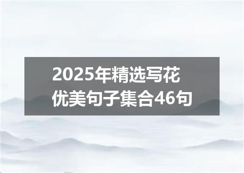 2025年精选写花优美句子集合46句