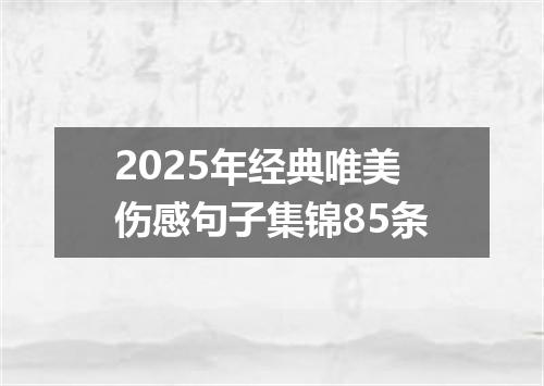 2025年经典唯美伤感句子集锦85条