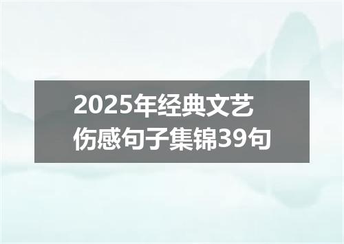 2025年经典文艺伤感句子集锦39句
