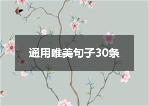 通用唯美句子30条