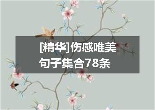 [精华]伤感唯美句子集合78条