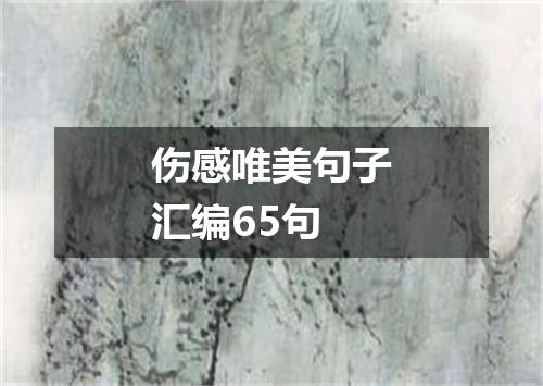 伤感唯美句子汇编65句