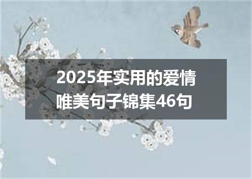 2025年实用的爱情唯美句子锦集46句