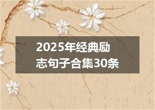 2025年经典励志句子合集30条