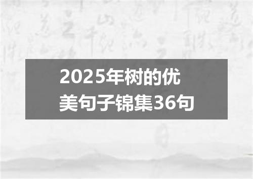 2025年树的优美句子锦集36句