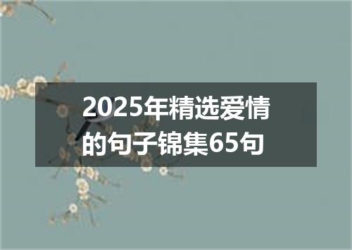 2025年精选爱情的句子锦集65句
