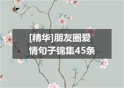[精华]朋友圈爱情句子锦集45条