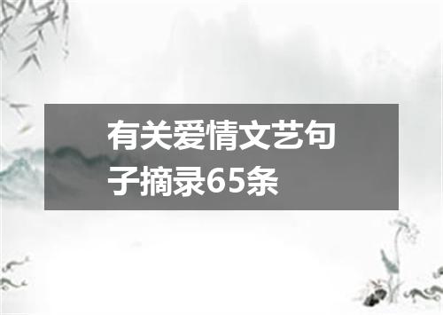 有关爱情文艺句子摘录65条