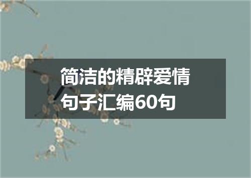 简洁的精辟爱情句子汇编60句