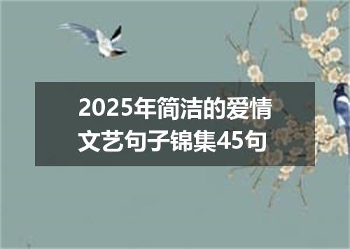 2025年简洁的爱情文艺句子锦集45句