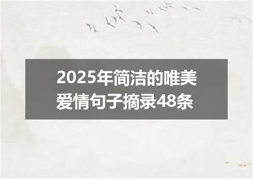 2025年简洁的唯美爱情句子摘录48条
