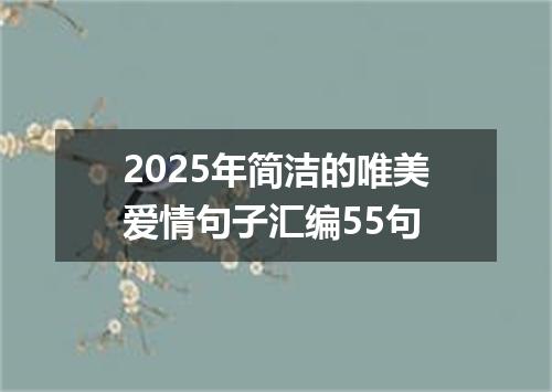 2025年简洁的唯美爱情句子汇编55句