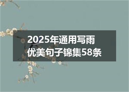 2025年通用写雨优美句子锦集58条