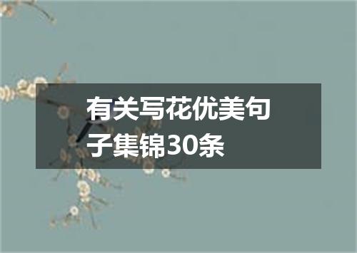 有关写花优美句子集锦30条