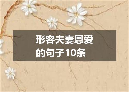 形容夫妻恩爱的句子10条