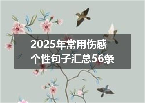 2025年常用伤感个性句子汇总56条