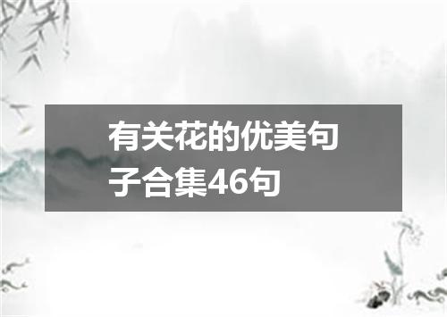有关花的优美句子合集46句