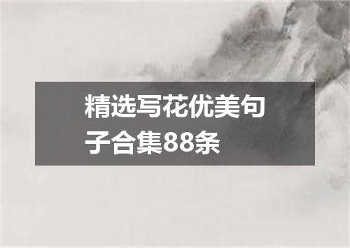 精选写花优美句子合集88条