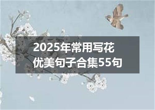 2025年常用写花优美句子合集55句