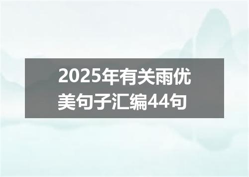 2025年有关雨优美句子汇编44句