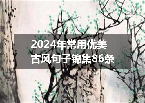 2024年常用优美古风句子锦集86条