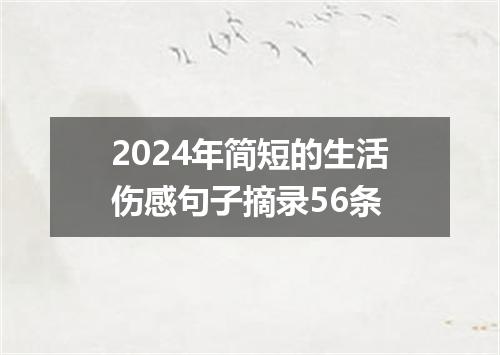 2024年简短的生活伤感句子摘录56条
