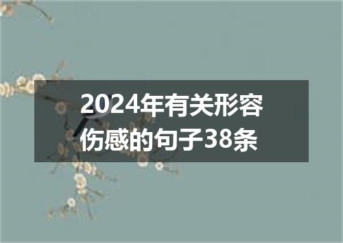2024年有关形容伤感的句子38条