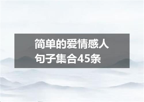 简单的爱情感人句子集合45条