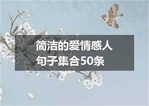 简洁的爱情感人句子集合50条