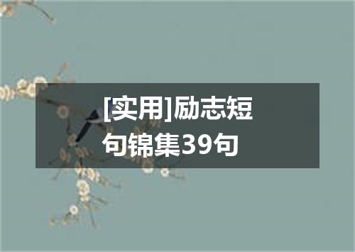 [实用]励志短句锦集39句