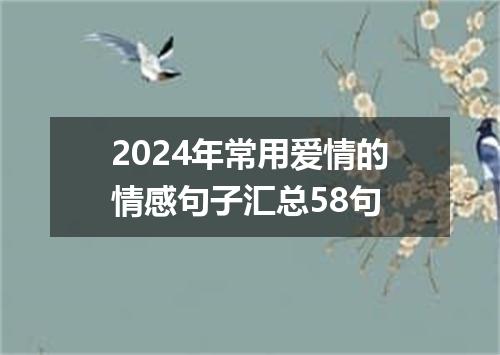 2024年常用爱情的情感句子汇总58句