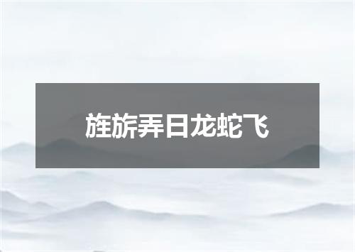 旌旂弄日龙蛇飞
