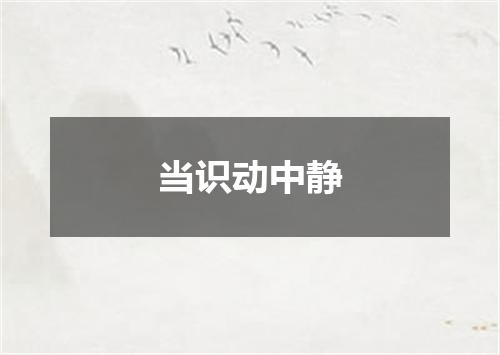 当识动中静