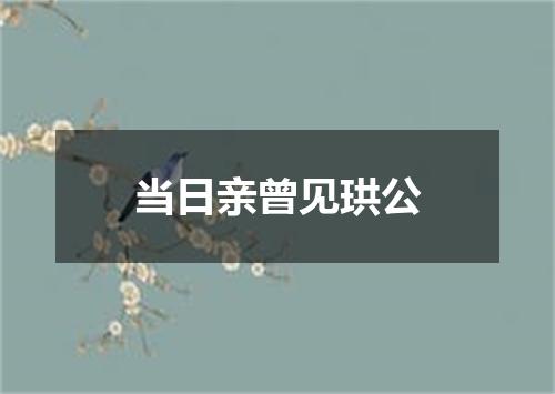 当日亲曾见珙公