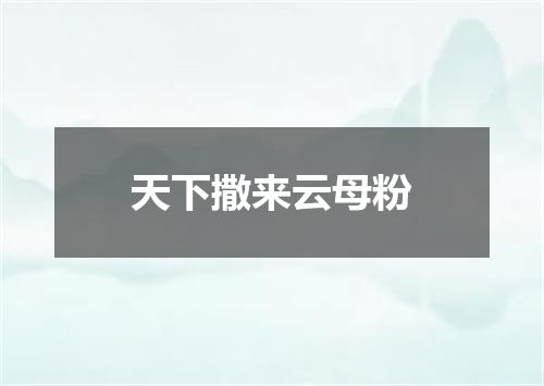 天下撒来云母粉